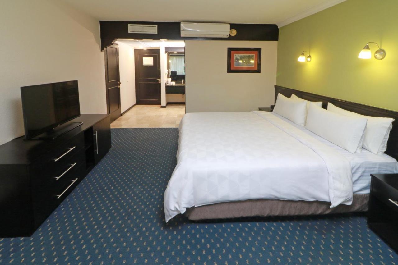 Holiday Inn San Luis Potosi-Quijote By Ihg Eksteriør billede